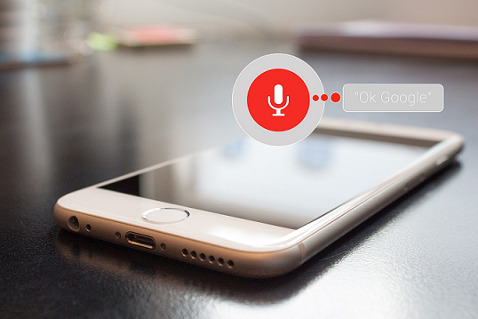 7 Best Tips for Voice Search SEO – Seabuck Digital