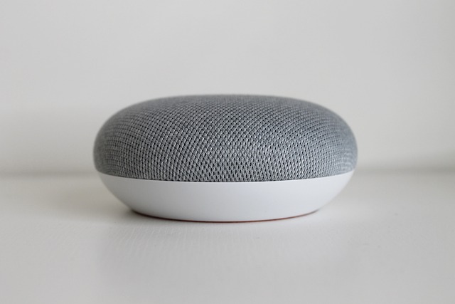 Voice Search Tips: Get More Out of Google Home – Seabuck Digital