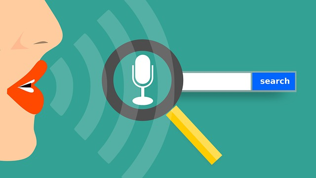 Voice Search Tips